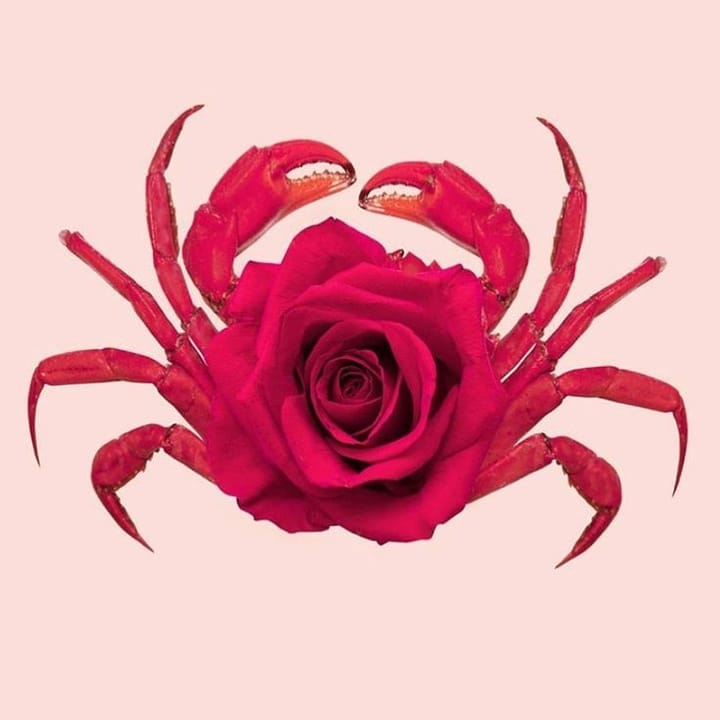 Cancer New Moon